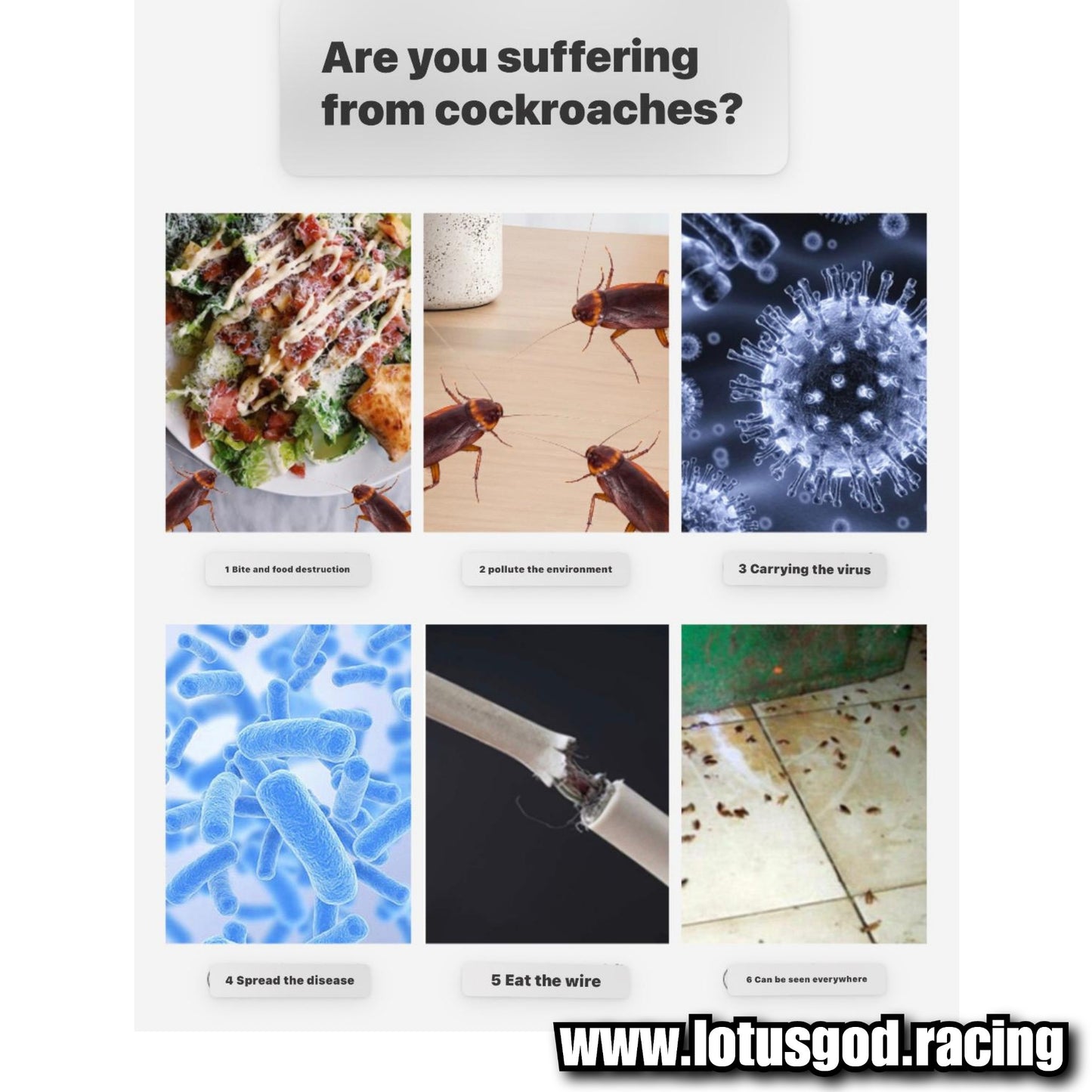 Very Effective Cockroach Trap Lizard Trap Sticker Roach Catcher Roach Reptile Insect Killer Trap 2025 Formula – Non-Toxic Trap (5 Packs)