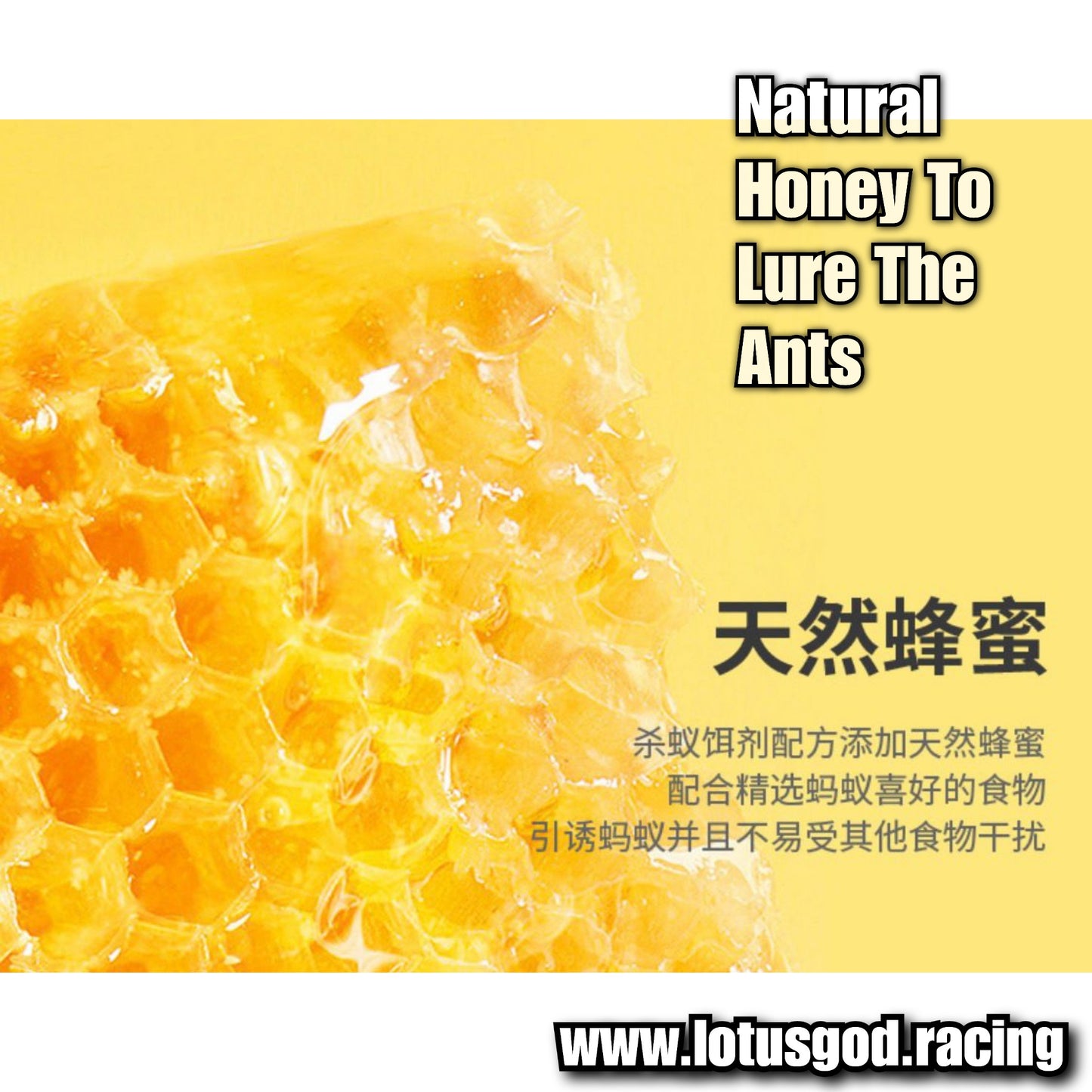 Very Effective AL Ant Killer Gel Bait: Powerful Nest Elimination - Rapidly Lures & Poisons Entire Colonies to Death With Strong Repellent Actions Garanteed 10g