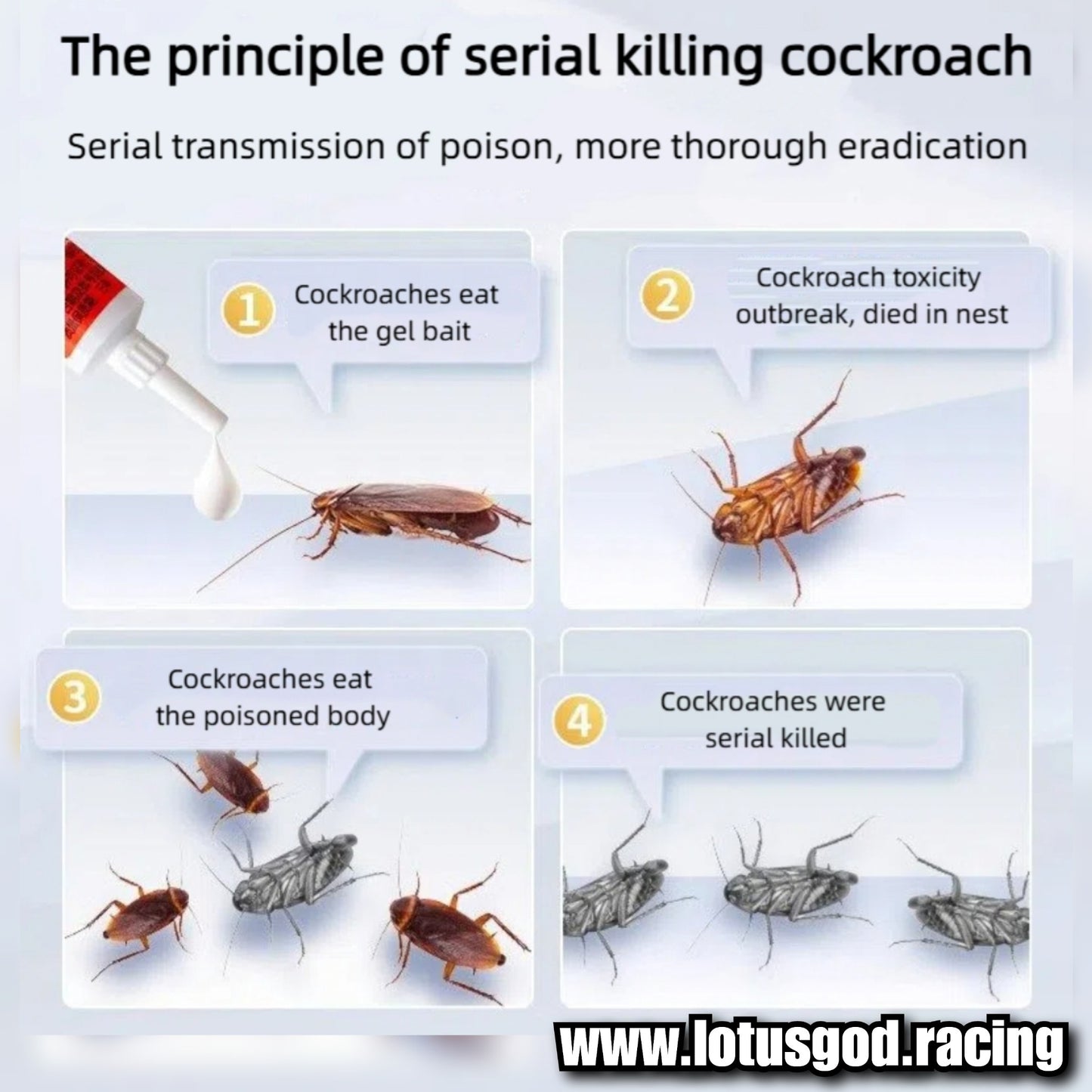 Very Effective Cockroach Killer Gel Bait: Powerful Eradicate Nest Elimination - Rapidly Lures & Poisons Entire Colonies to Death With Strong Repellent Actions Garanteed 10g